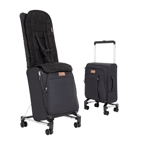 skyrider Suitcase Travel Seat for Toddlers Mountain Buggy